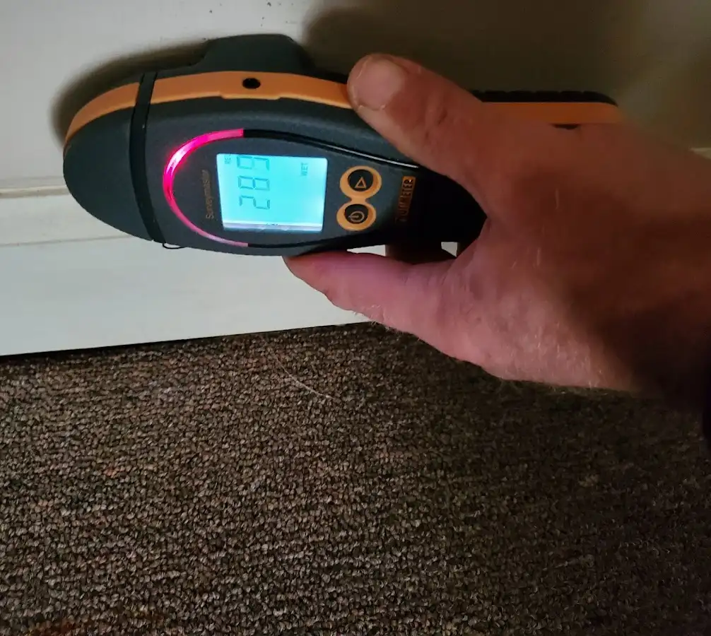 Moisture detection at baseboard during Burst Pipe Cleanup in Winfield